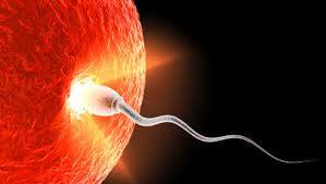 Эрчүүд сардаа нэг биш юм гэхэд жилдээ нэг удаа үзлэг шинжилгээ хийлгэх ёстой